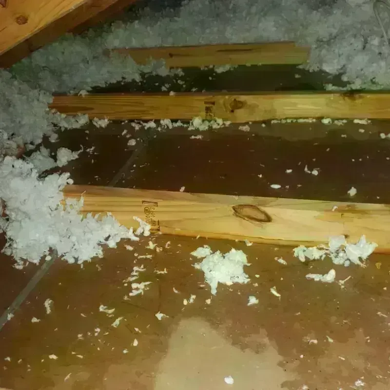 Attic Water Damage in Monfort Heights, OH