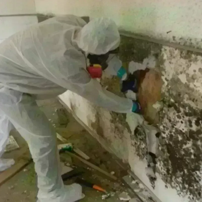 Mold Remediation and Removal in Monfort Heights, OH